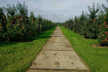 Kom gezellig ontbijten in onze boomgaard
