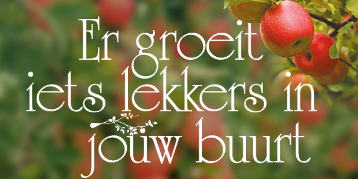 Groeit